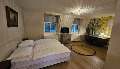 Standard Double or Twin Room