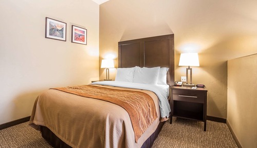 Room, 1 King Bed, Non Smoking