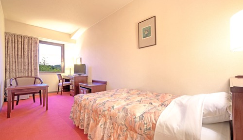 Classic Room with 1 single bed