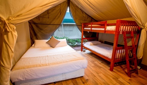 Standard Safari Tents