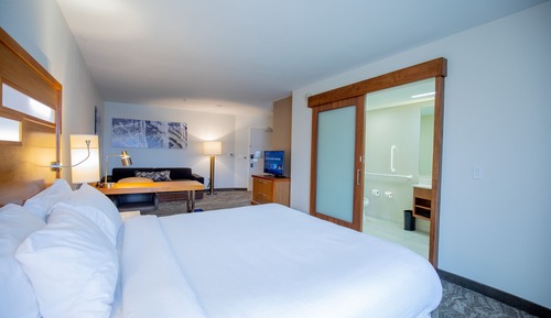 Studio, 1 King Bed with Sofa bed, Non Smoking (Hearing Accessible)