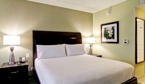 Room, 1 King Bed, Accessible (Mobility/Hearing, Roll-In Shower)