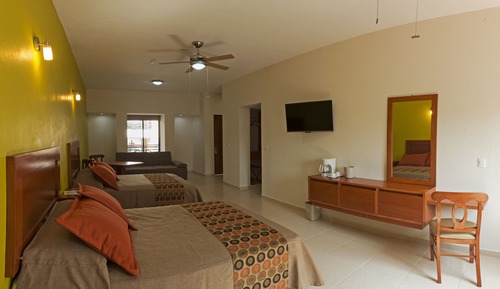 Junior Suite, 1 Bedroom, Private Bathroom