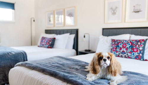 Standard Room, 2 Queen Beds