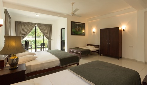 Deluxe Double or Twin Room, 1 Bedroom, Mountain View