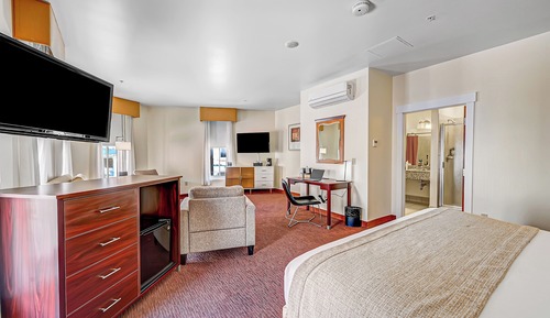 Junior Studio Suite