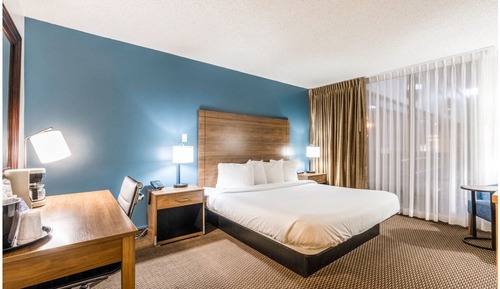 Standard Room, 1 King Bed, Non Smoking