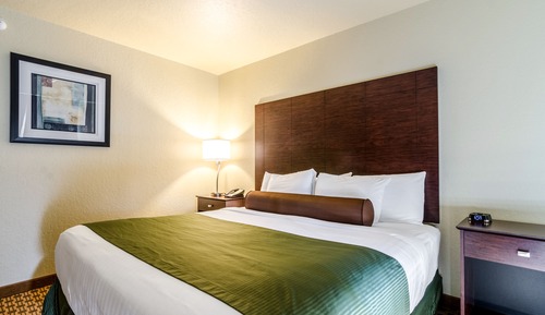 Room, 1 King Bed, Roll in Shower, Non Smoking, ACCESSIBLE