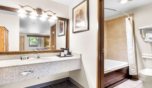 Suite, 1 King Bed, Non Smoking, Jetted Tub (with Sofabed)