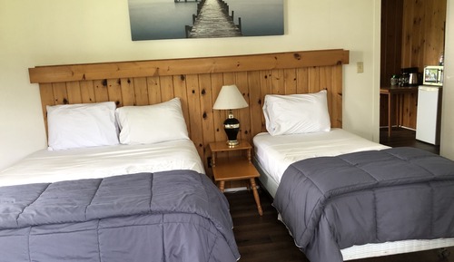 Standard Cabin, 1 Bedroom, Fireplace, Lake View (Windy Ridge)