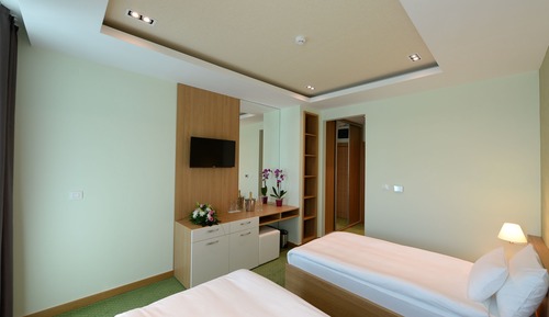 Standard Twin Room, 2 Twin Beds, Non Smoking, Mountain View