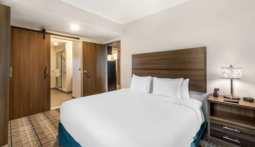 Basic Suite, 1 King Bed with Sofa bed, Non Smoking (Roll-In Shower)
