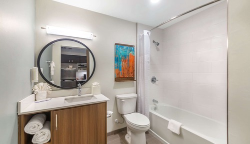 Basic Suite, 1 King Bed with Sofa bed, Non Smoking (Roll-In Shower)