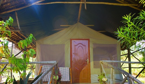 Basic Triple Room