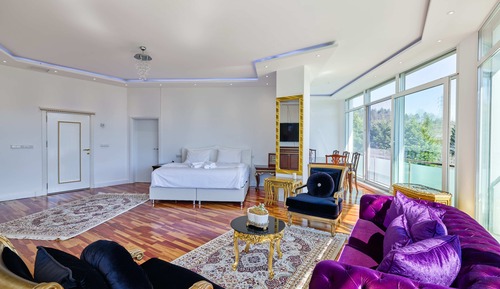 Deluxe Studio Suite, 1 King Bed with Sofa bed, Mountain View