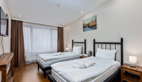 Basic Twin Room