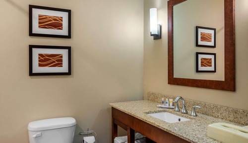 Suite, 1 King Bed, Non Smoking