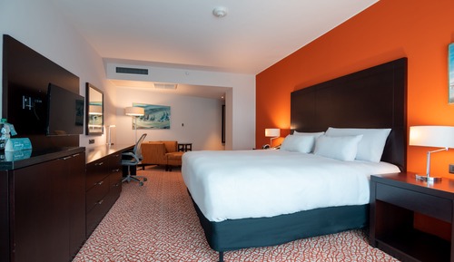 Room, 1 King Bed, Accessible (Roll In Shower)