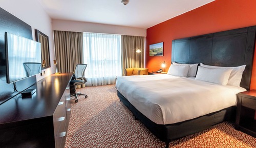 Room, 1 King Bed
