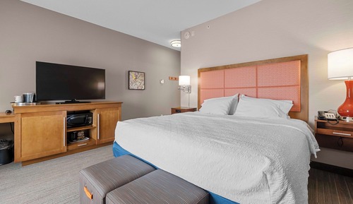 Room, 1 King Bed, Non Smoking, Refrigerator & Microwave