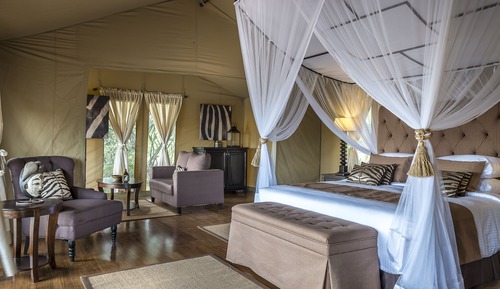 Luxury Tent