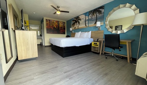 Standard Single Room, 1 King Bed