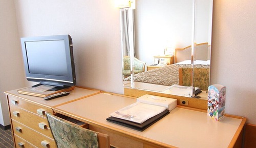 Standard Double Room, Smoking (Single Use)
