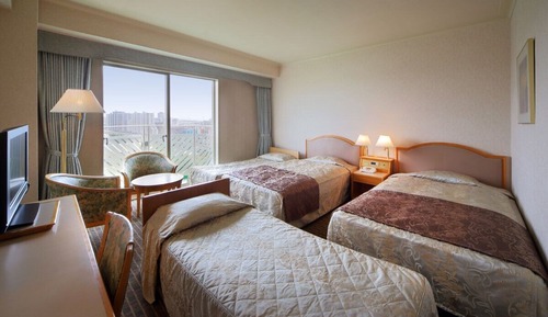 Large Twin Room, Smoking (Single Use)