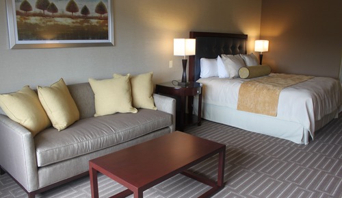 Hotel, 1 King Bed