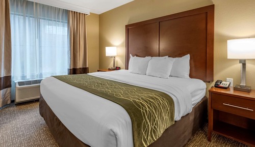 Suite, 1 King Bed with Sofa bed, Non Smoking