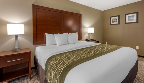 Room, 1 King Bed, Accessible, Non Smoking