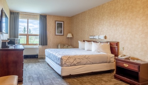 Room, 1 Queen Bed, Accessible (No Pets Allowed)