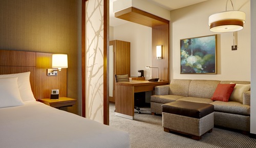 Suite, 1 King Bed with Sofa bed, Accessible
