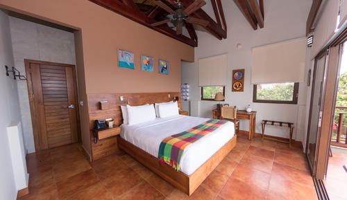 Room, 1 King Bed