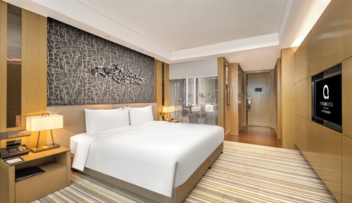 Bussiness King Room