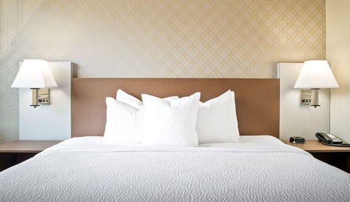 Superior Single Room, 1 King Bed with Sofa bed