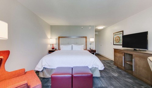 Room, 1 King Bed, Accessible, Non Smoking