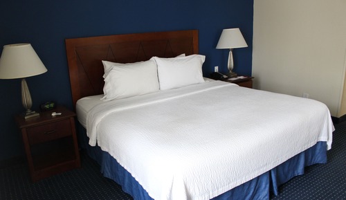 Executive Suite, 1 King Bed with Sofa bed, Kitchen