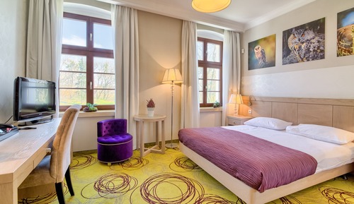 Double or Twin Room