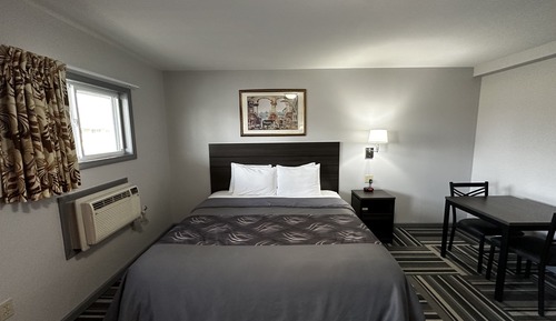 Room, 1 King Bed