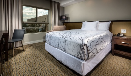 Penthouse, 1 Queen Bed
