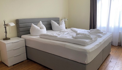 Standard Apartment (52)