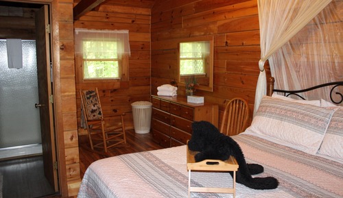 Almost Heaven Cabin, 1 King Bed, Hot Tub