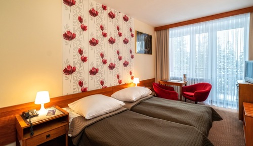 Premium Twin Room, Mountain View