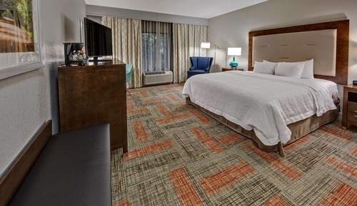 Room, 1 King Bed, Accessible, Non Smoking (Hearing accessible & Roll-in shower)