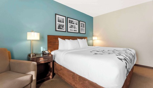 Standard Room, 1 King Bed, Non Smoking