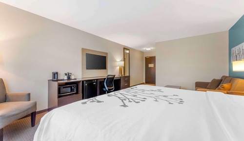 Suite, 1 King Bed with Sofa bed, Non Smoking