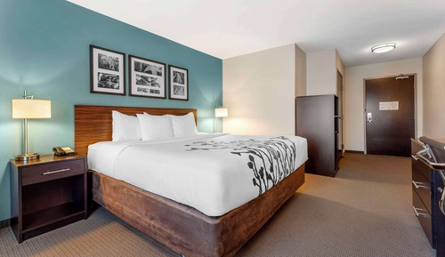 Room, 1 King Bed, Roll-in Shower, Non Smoking