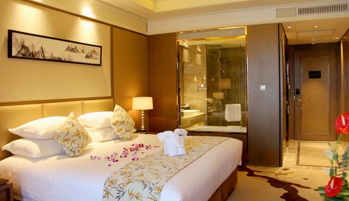 Executive Room, City View