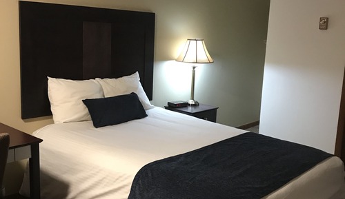 Standard Room, 1 Double Bed, Refrigerator & Microwave